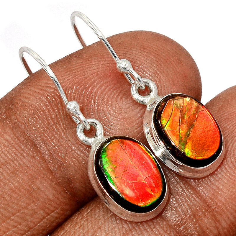 1.2" Ammolite Earrings - AMLE744