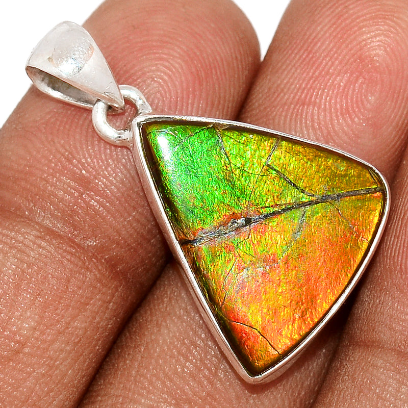 1.2" Ammolite Pendants - AMLP2491