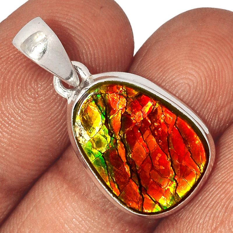 1.2" Ammolite Pendants - AMLP2513