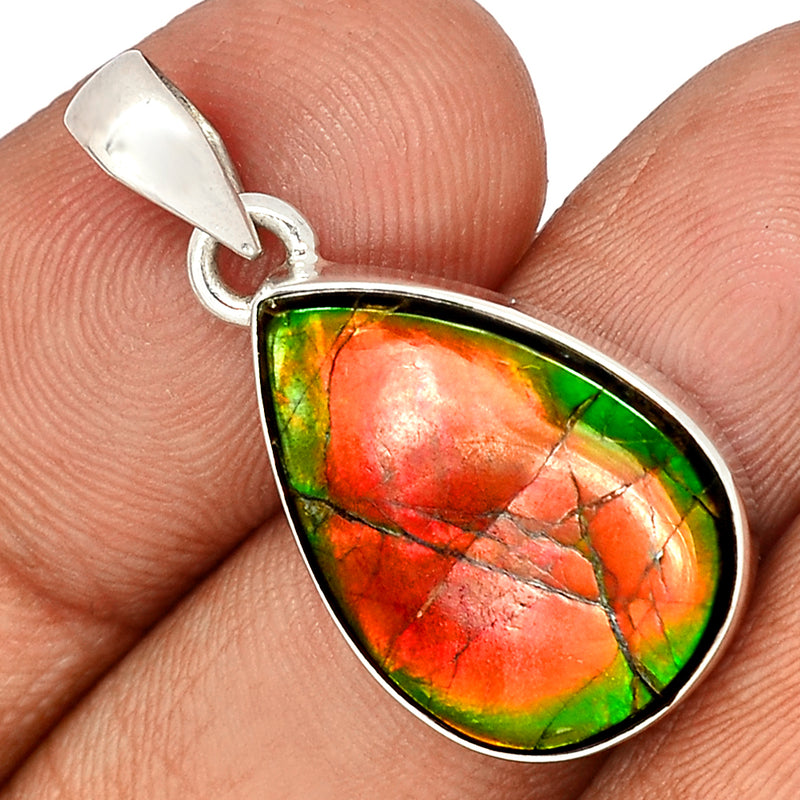 1.2" Ammolite Pendants - AMLP2594