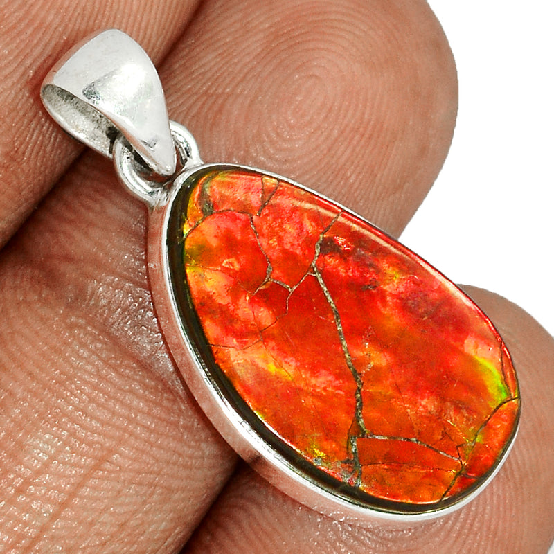 1.3" Ammolite Pendants - AMLP2667