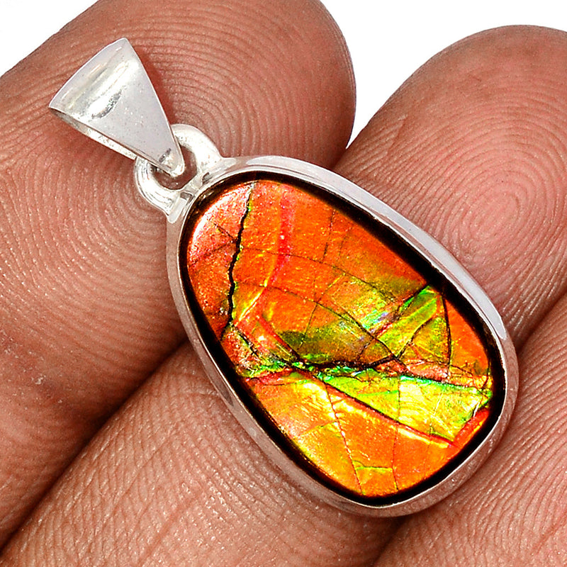 1.2" Ammolite Pendants - AMLP2791