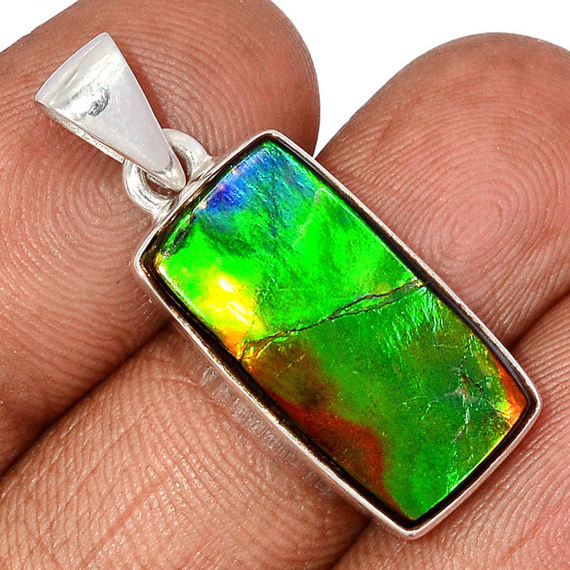 1.3" Ammolite Pendants - AMLP2796