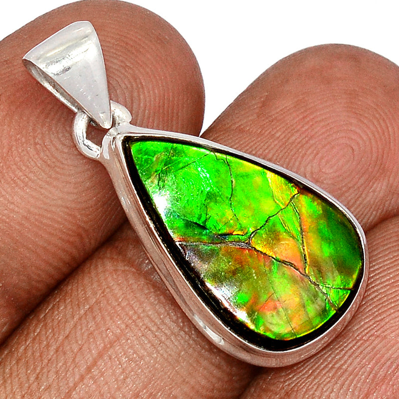 1.2" Ammolite Pendants - AMLP2802