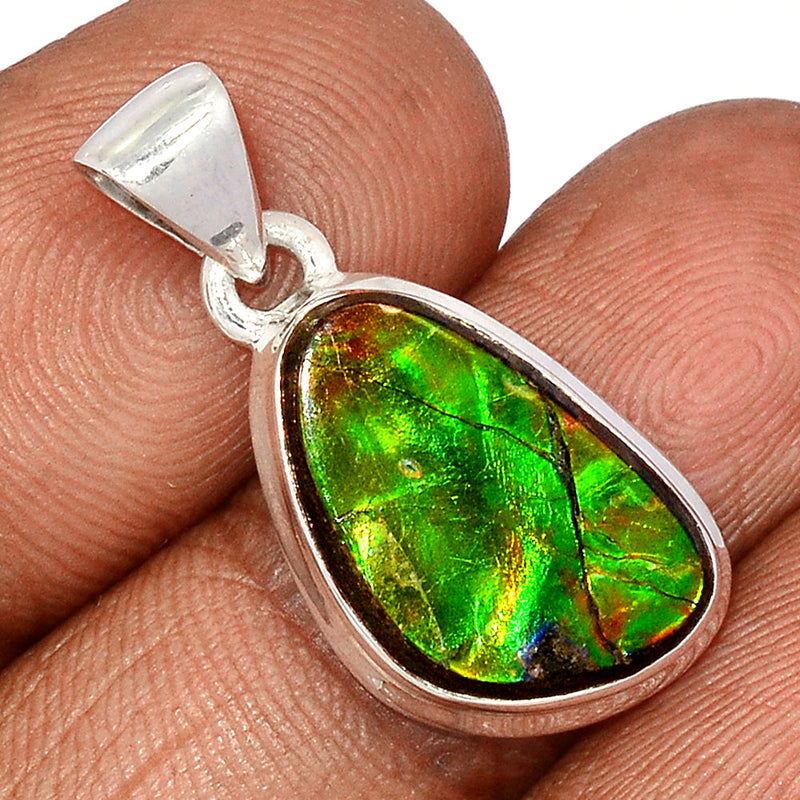 1.1" Ammolite Pendants - AMLP2806