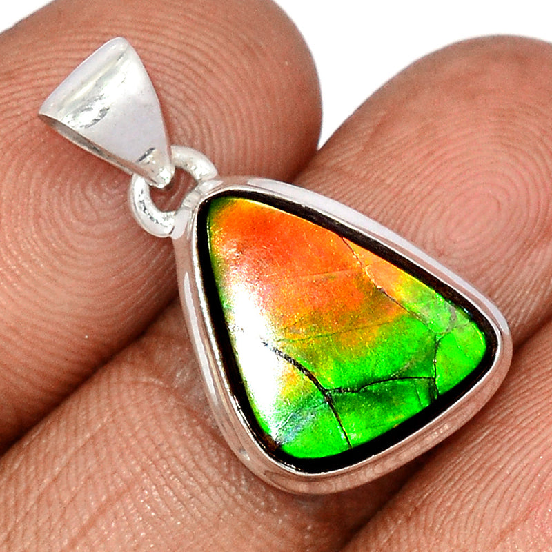 1.1" Ammolite Pendants - AMLP2809