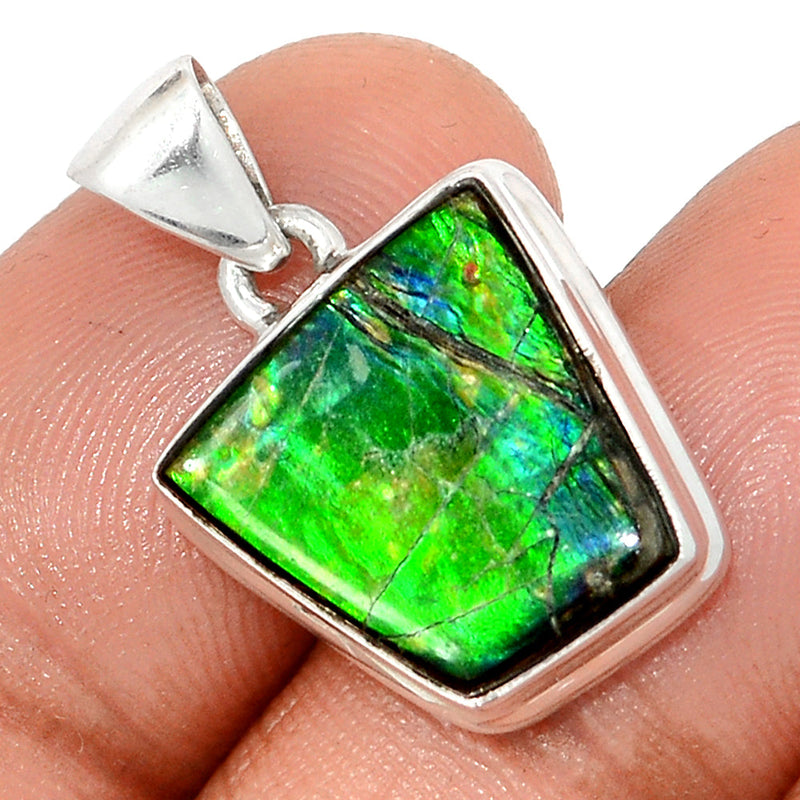 1" Ammolite Pendants - AMLP2815