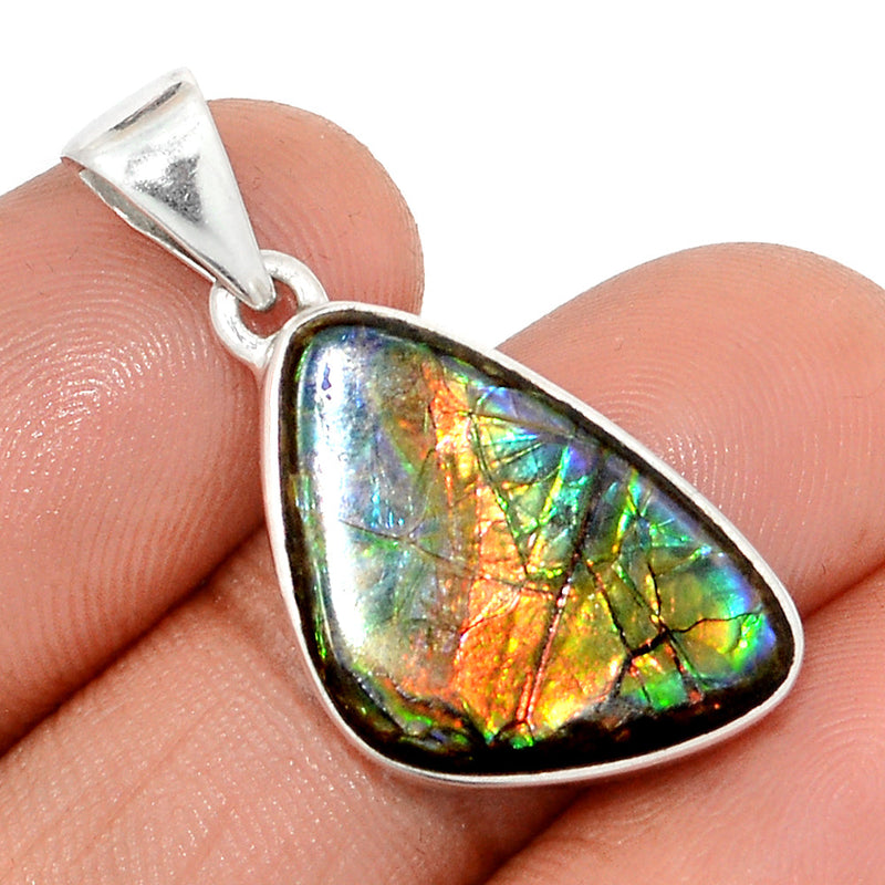 1.3" Ammolite Pendants - AMLP2818