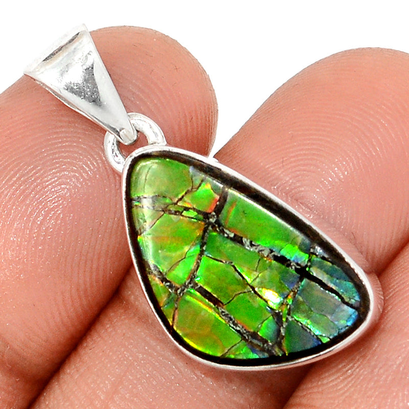 1.2" Ammolite Pendants - AMLP2819