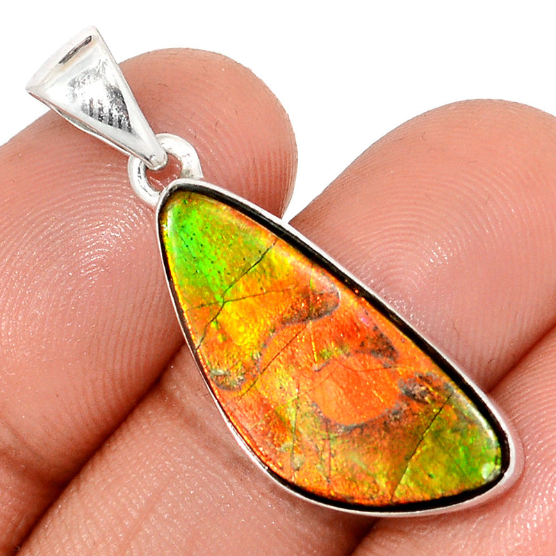 1.5" Ammolite Pendants - AMLP2822