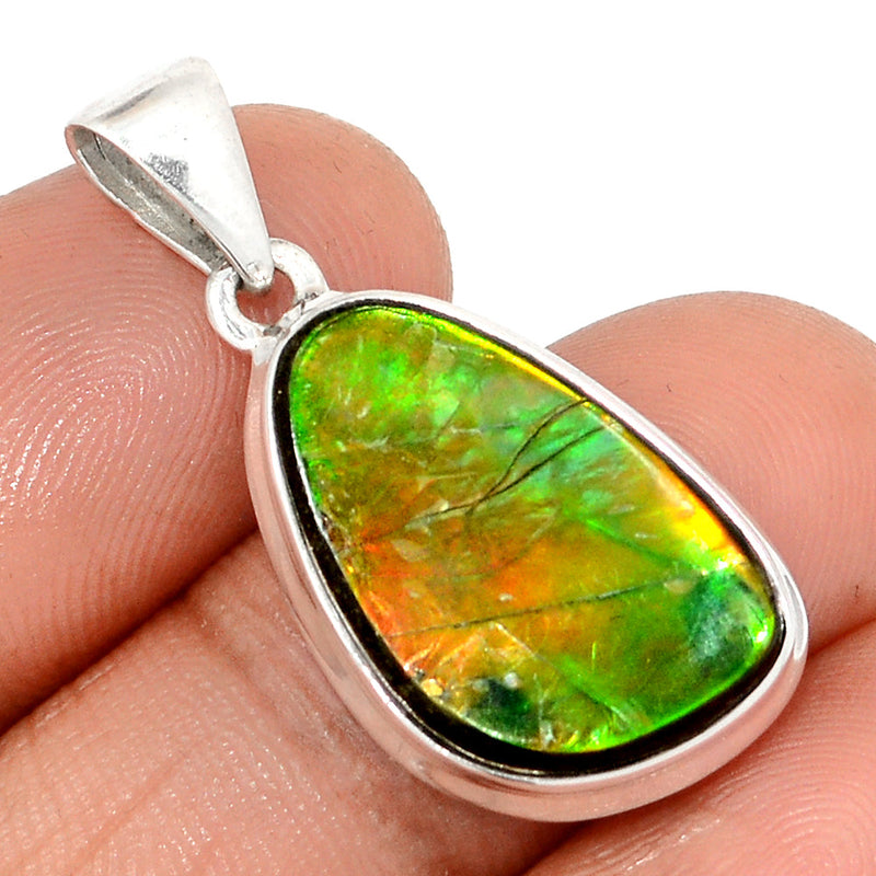 1.3" Ammolite Pendants - AMLP2824