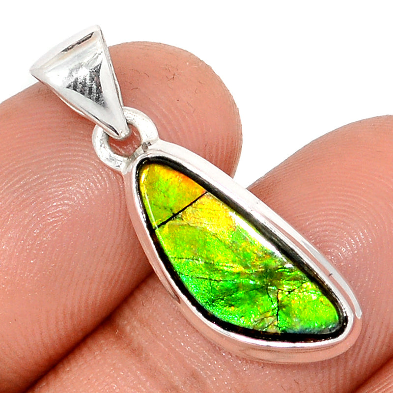 1.1" Ammolite Pendants - AMLP2826