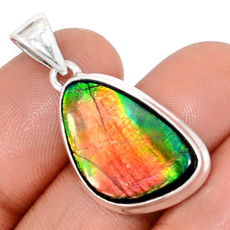 1.3" Ammolite Pendants - AMLP2829