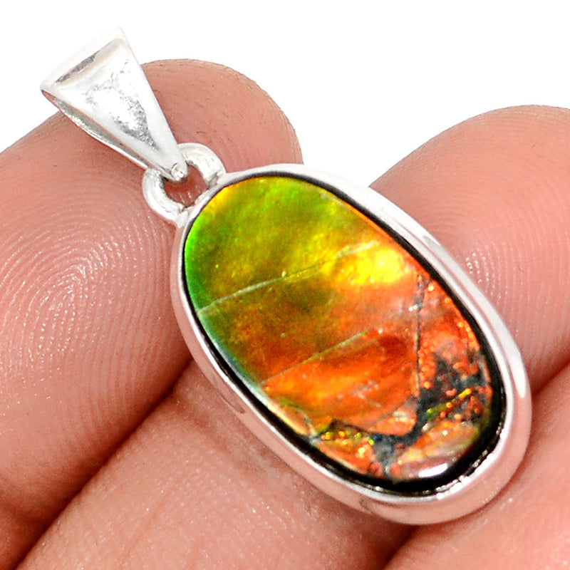 1.3" Ammolite Pendants - AMLP2832