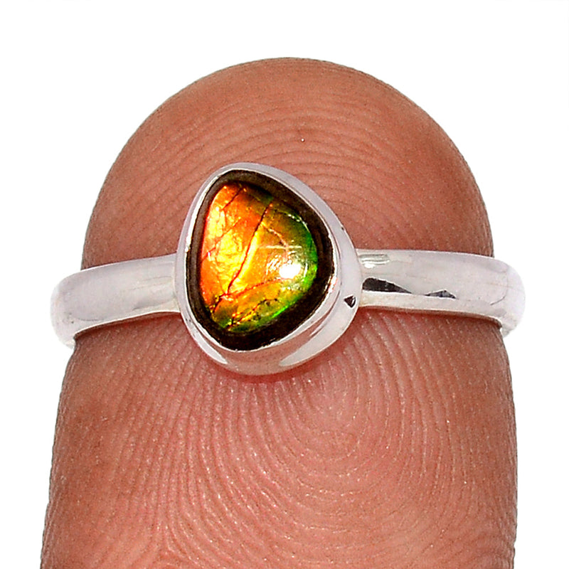 Ammolite Ring - AMLR1879