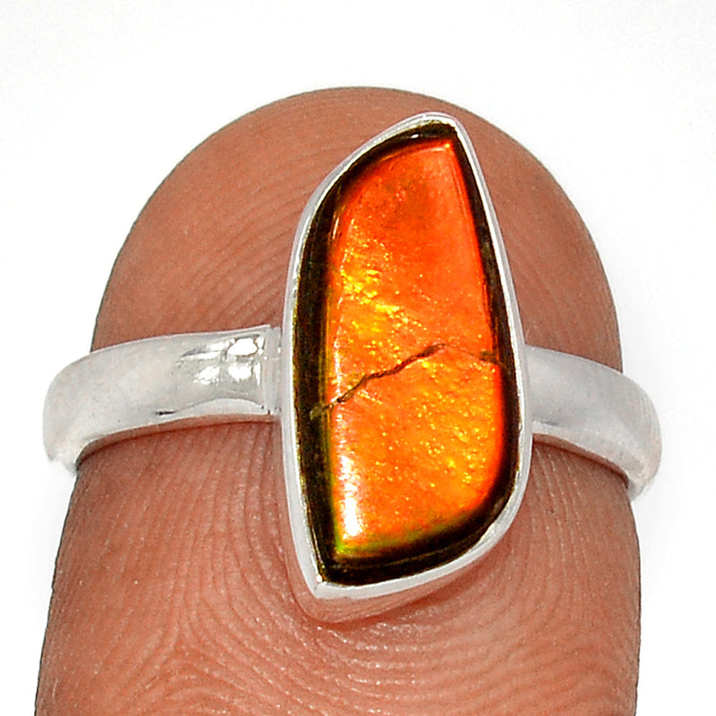 Ammolite Ring - AMLR1904