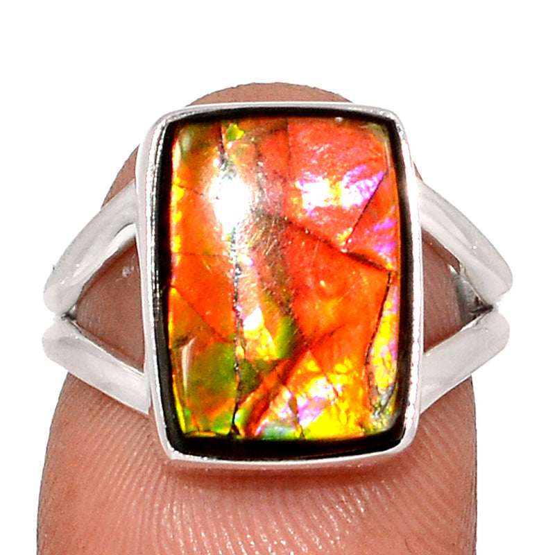 Ammolite Ring - AMLR1964