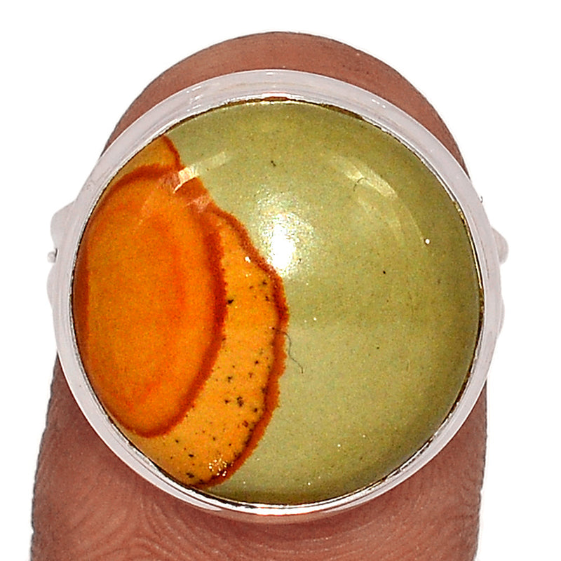 Amerian Picture Jasper Ring - APJR291