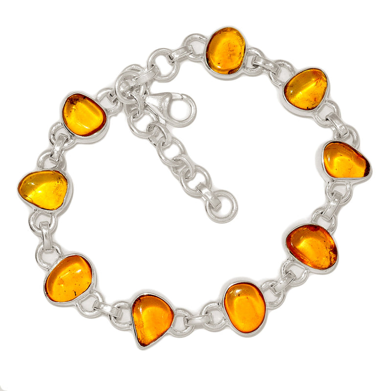 8.6" Baltic Amber Bracelets - BAMB60