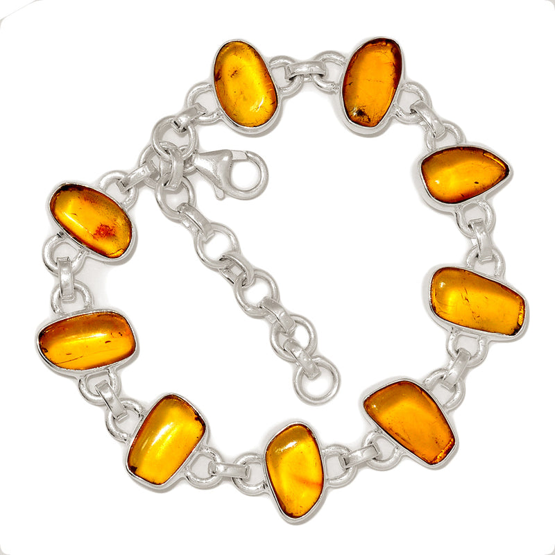 8.6" Baltic Amber Bracelets - BAMB61