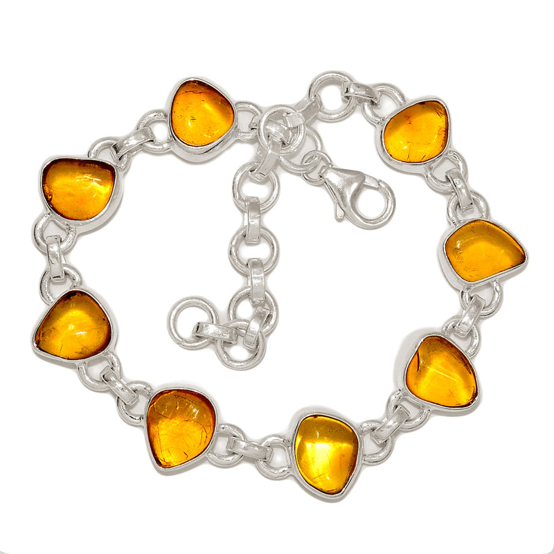 8.3" Baltic Amber Bracelets - BAMB63