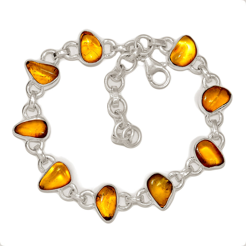 8.2" Baltic Amber Bracelets - BAMB65