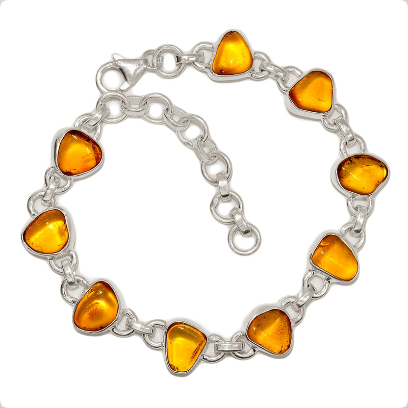 8.5" Baltic Amber Bracelets - BAMB66