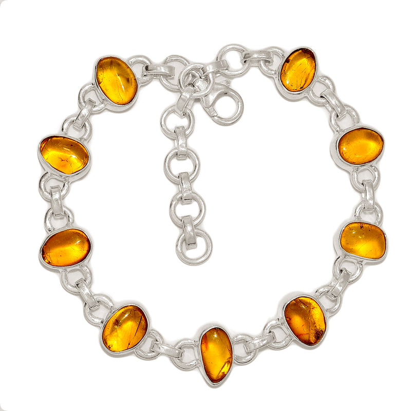 8.2" Baltic Amber Bracelets - BAMB70