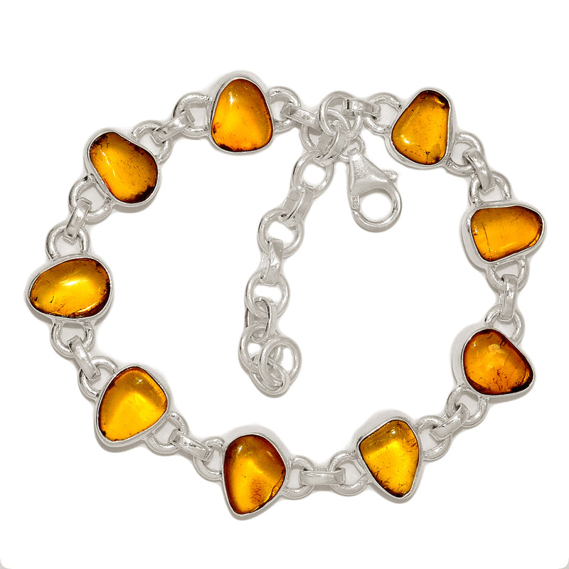 8.3" Baltic Amber Bracelets - BAMB72