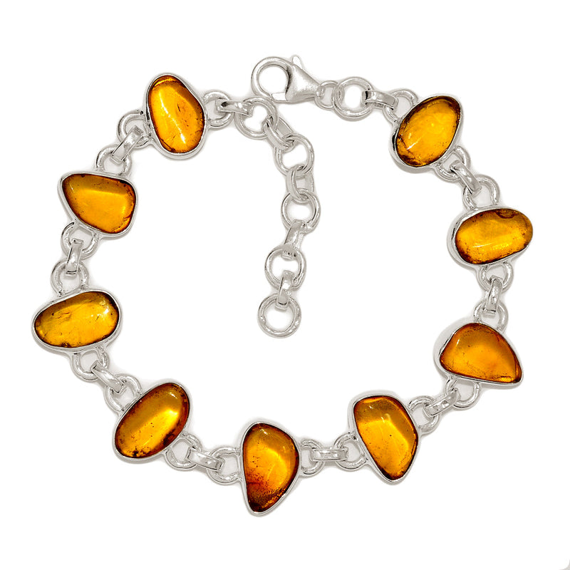 7.3" Baltic Amber Bracelets - BAMB73