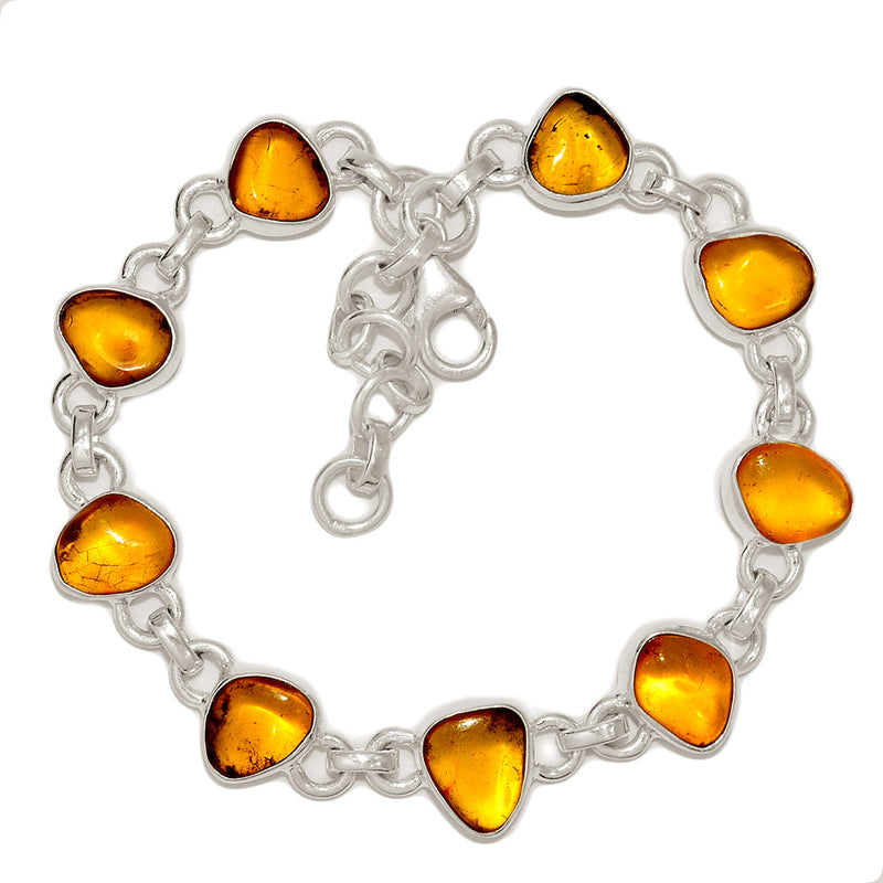 8.5" Baltic Amber Bracelets - BAMB77