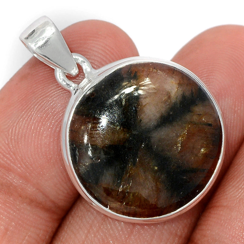 1.3" Chiastolite Pendants - CTLP1478