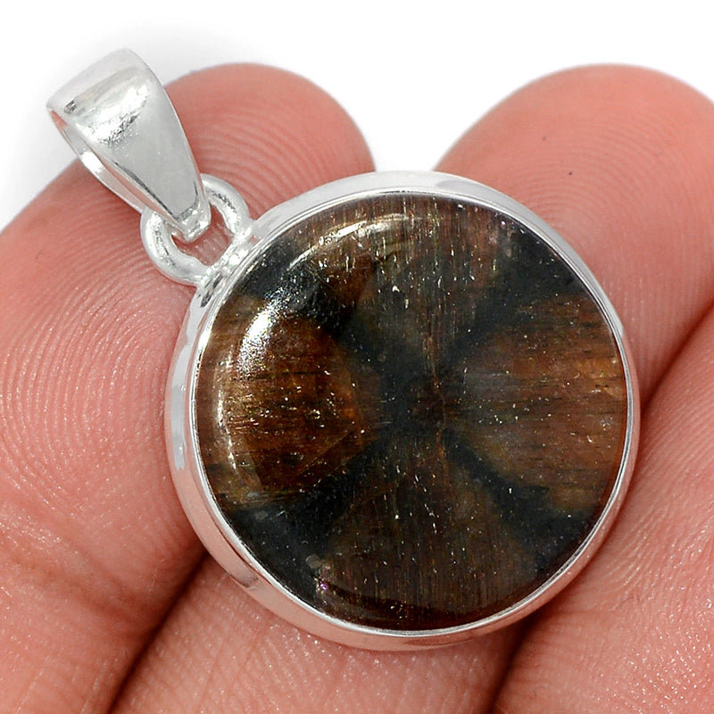 1.3" Chiastolite Pendants - CTLP1484