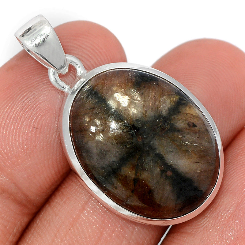 1.3" Chiastolite Pendants - CTLP1488