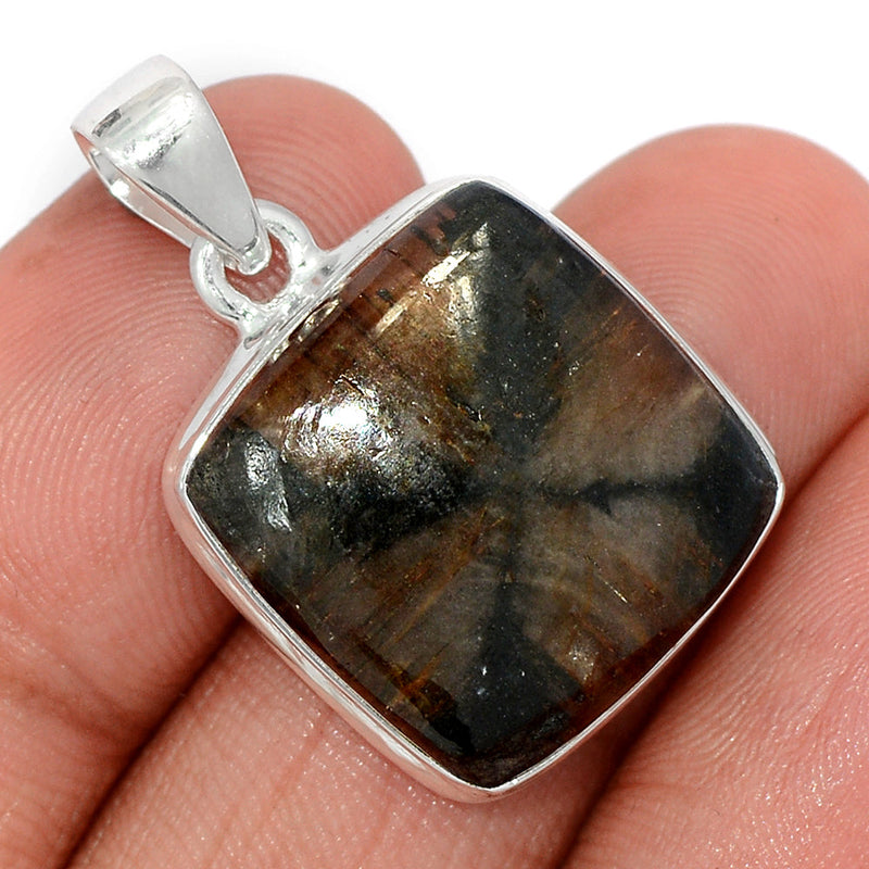 1.2" Chiastolite Pendants - CTLP1496