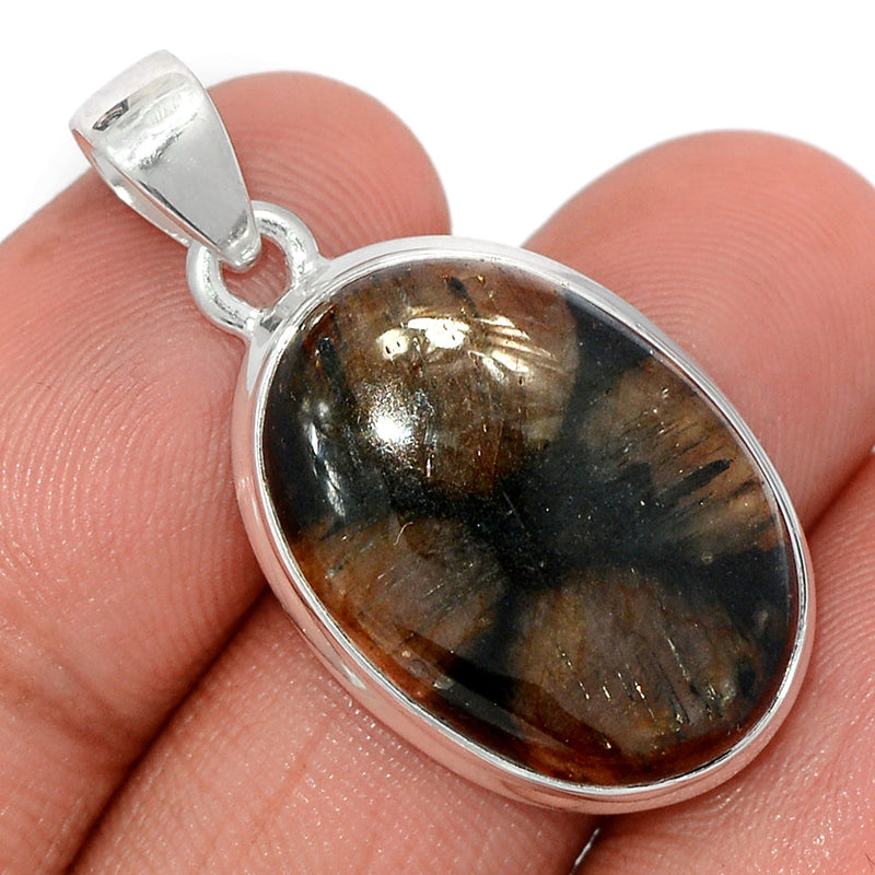 1.3" Chiastolite Pendants - CTLP1498