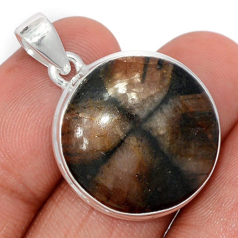 1.3" Chiastolite Pendants - CTLP1499