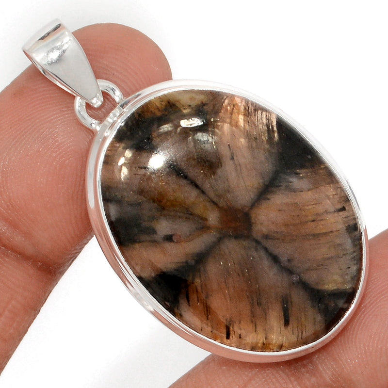 1.7" Chiastolite Pendants - CTLP1524