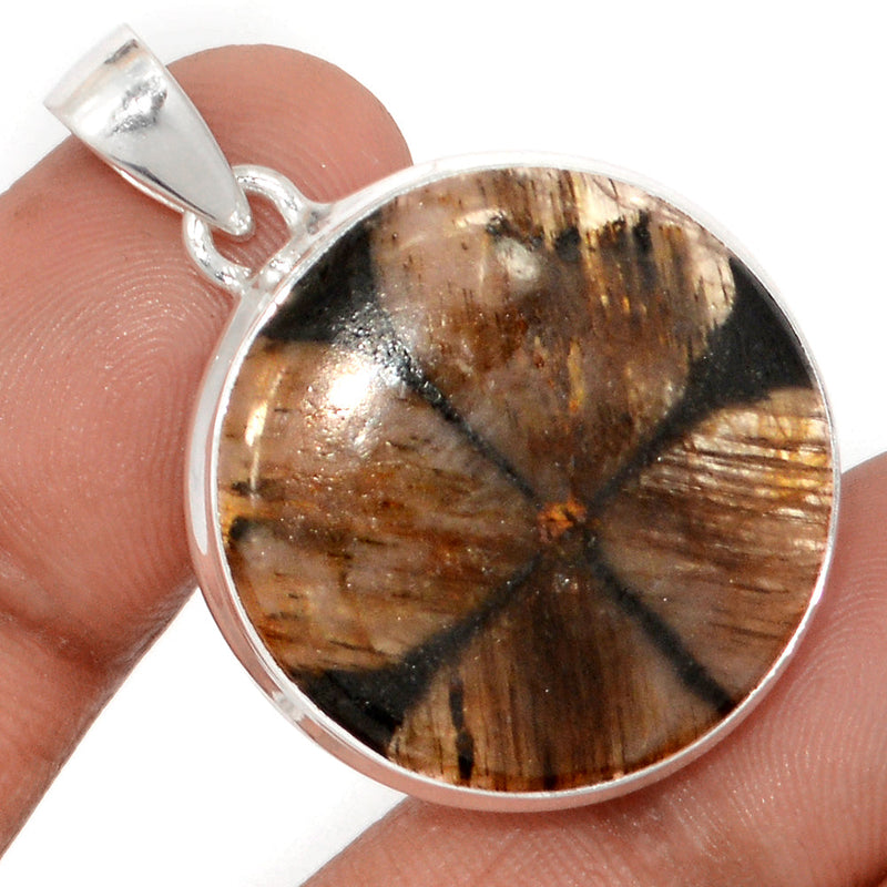 1.5" Chiastolite Pendants - CTLP1525