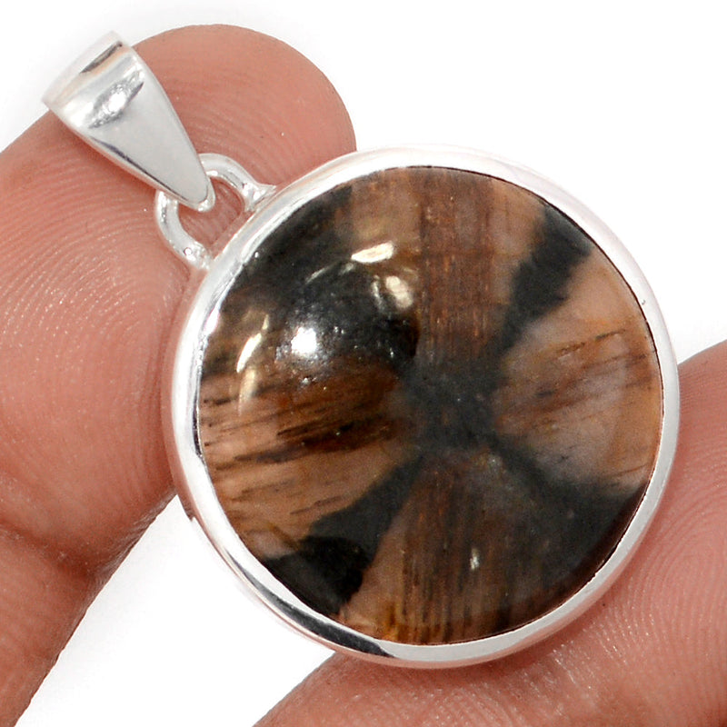 1.3" Chiastolite Pendants - CTLP1529