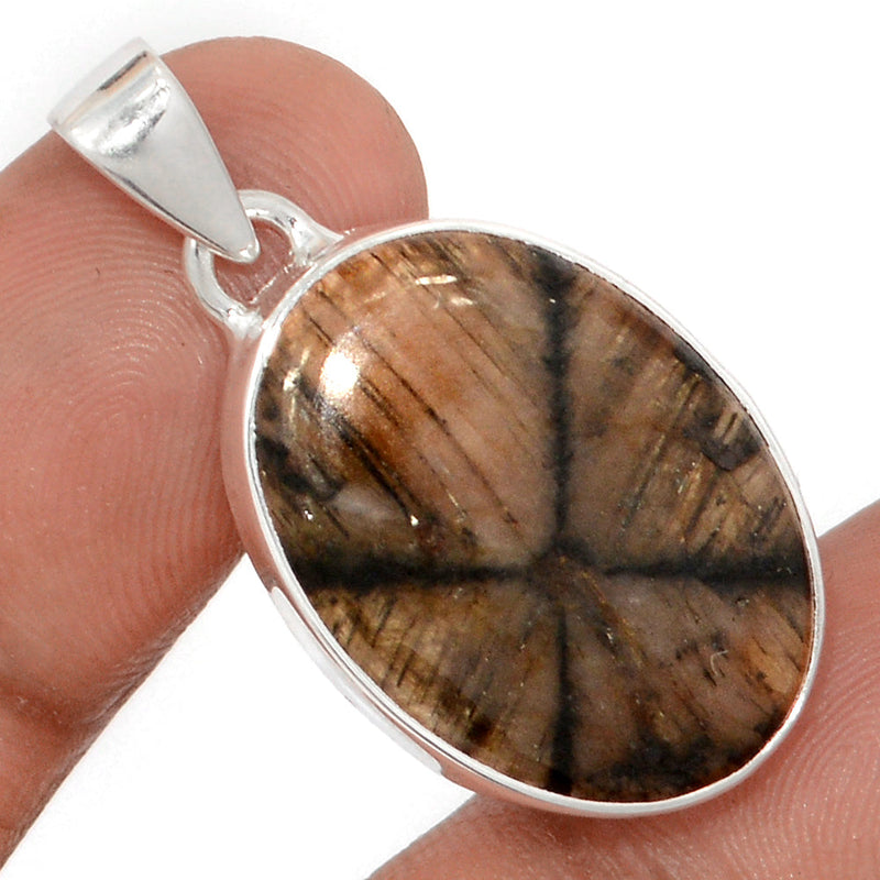 1.5" Chiastolite Pendants - CTLP1533