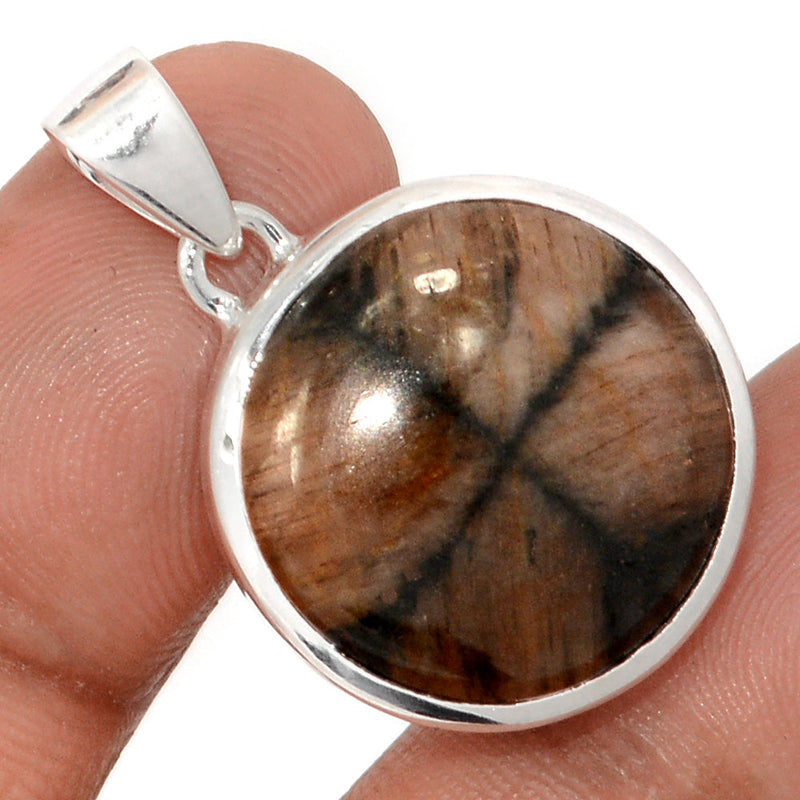 1.2" Chiastolite Pendants - CTLP1534