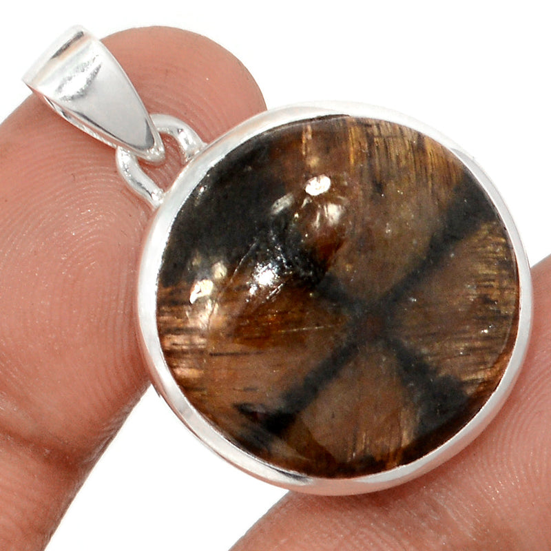 1.3" Chiastolite Pendants - CTLP1535