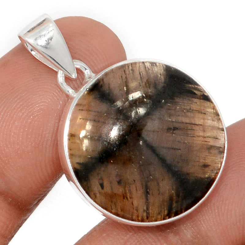 1.2" Chiastolite Pendants - CTLP1544