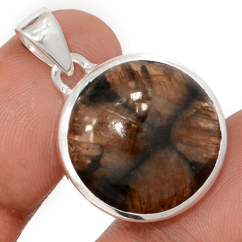 1.2" Chiastolite Pendants - CTLP1545