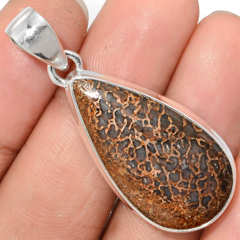 1.6" Dinosaur Bone Pendants - DNOP681