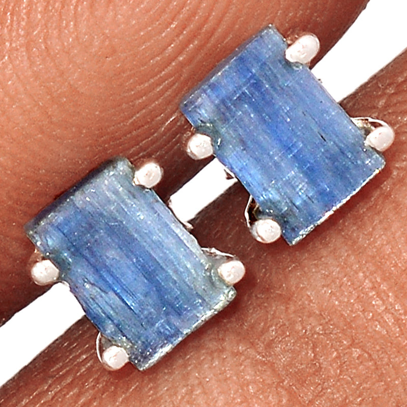 Claw - Kyanite Rough Studs - KYRS41