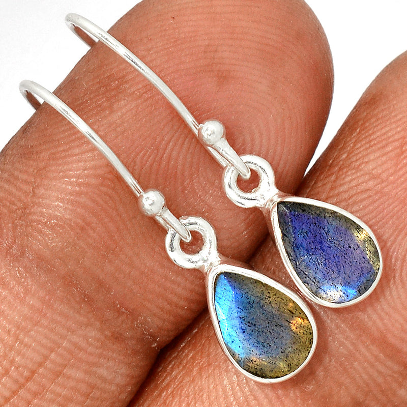 1.1" Labradorite Faceted Earrings - LBFE493