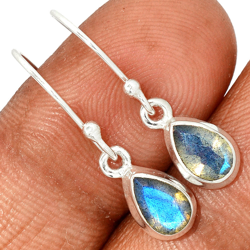 1.1" Labradorite Faceted Earrings - LBFE494