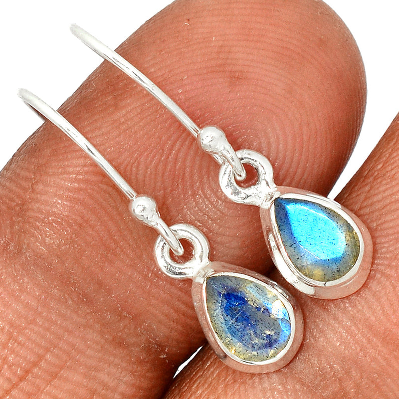 1" Labradorite Faceted Earrings - LBFE495